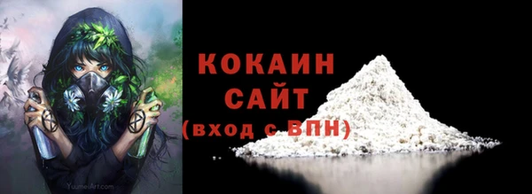хмурый Карпинск