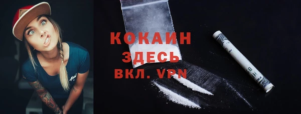хмурый Карпинск