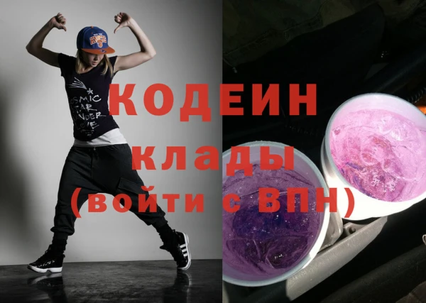 хмурый Карпинск
