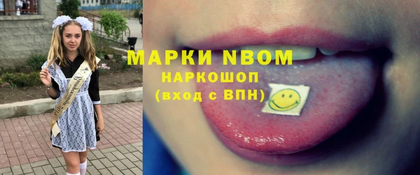 хмурый Карпинск