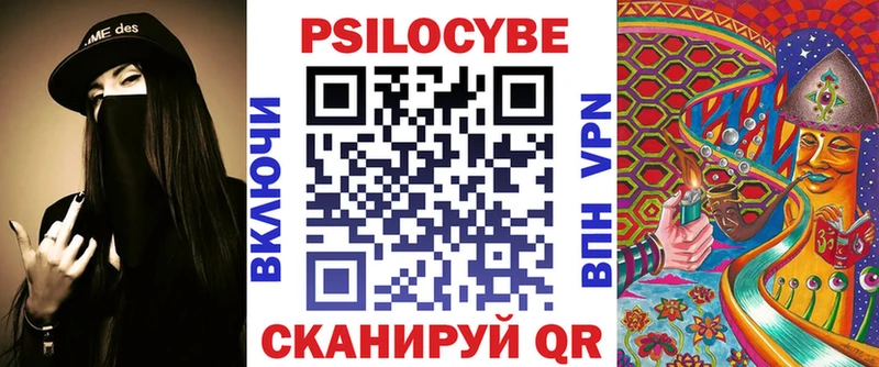 хочу Курган Псилоцибиновые грибы Cubensis
